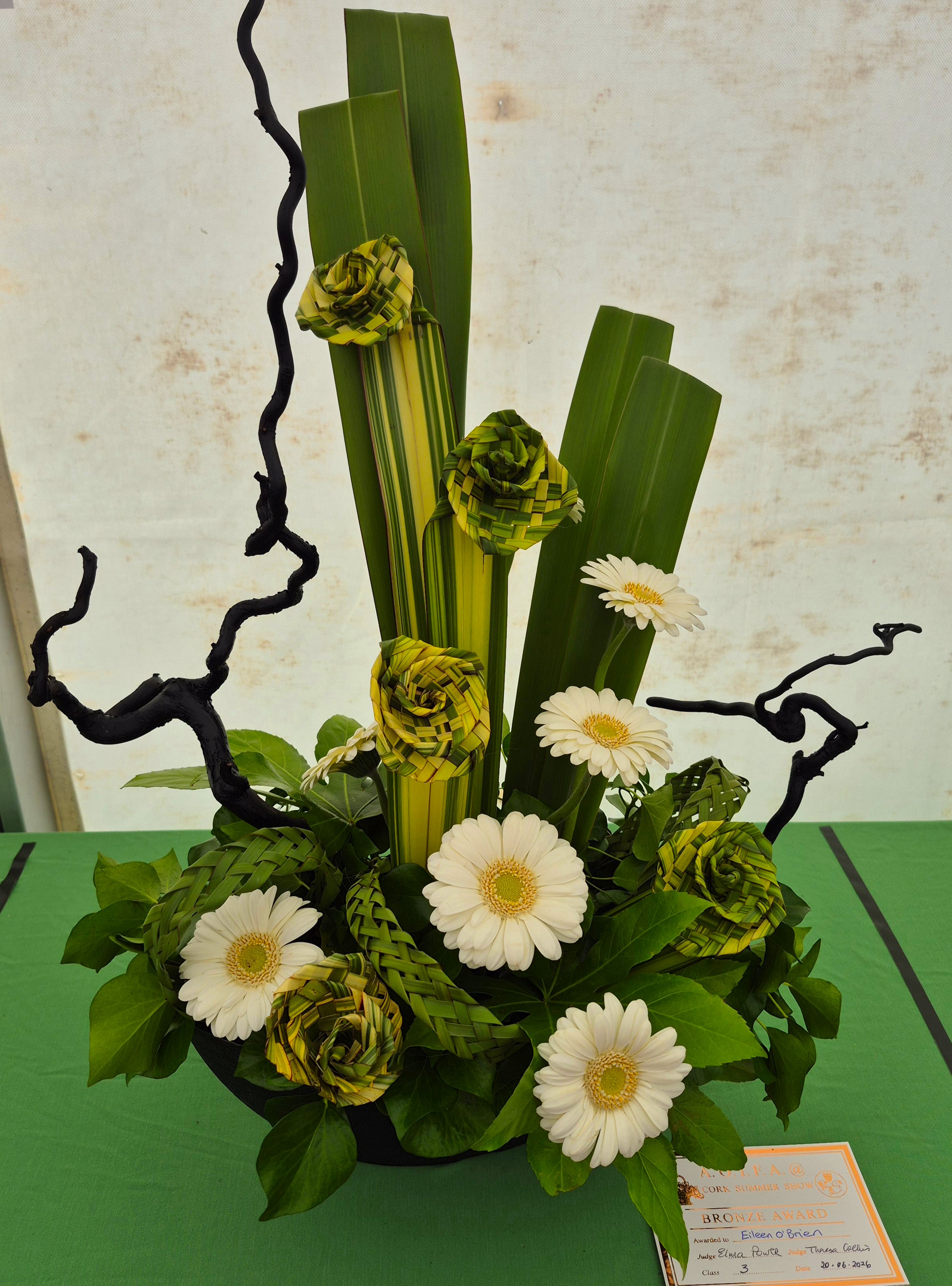 aoifa.com