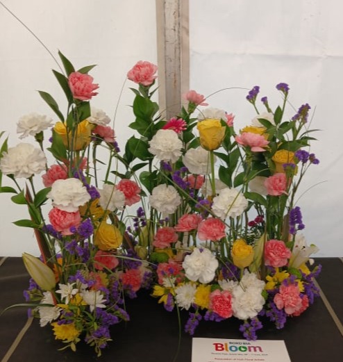 aoifa.com
