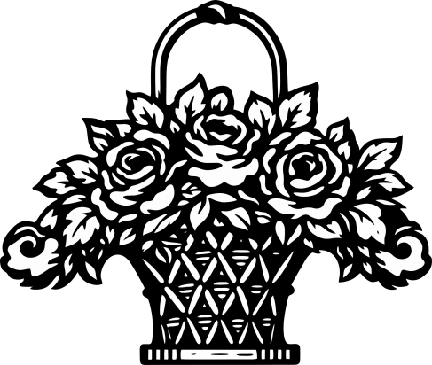 AOIFA.com