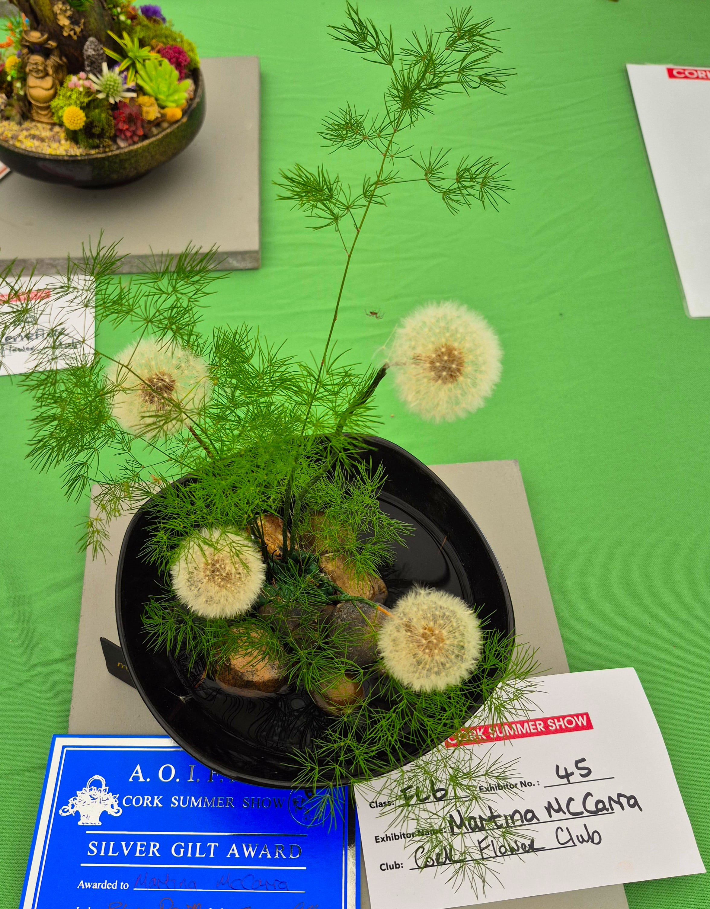 aoifa.com