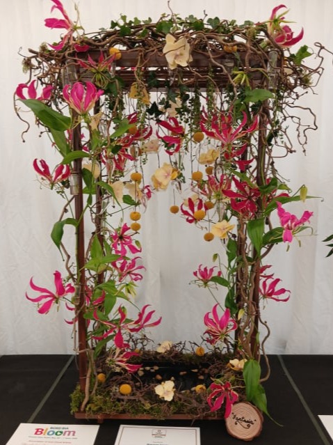 aoifa.com