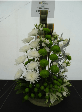 aoifa.com