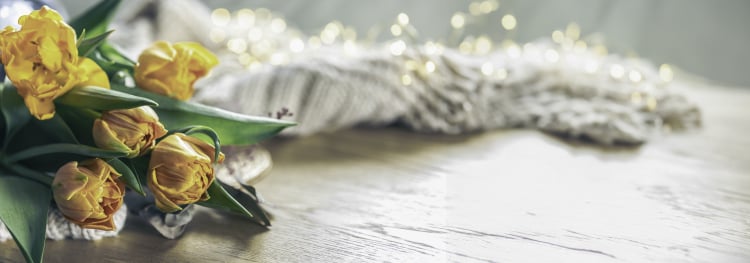 aoifa.com